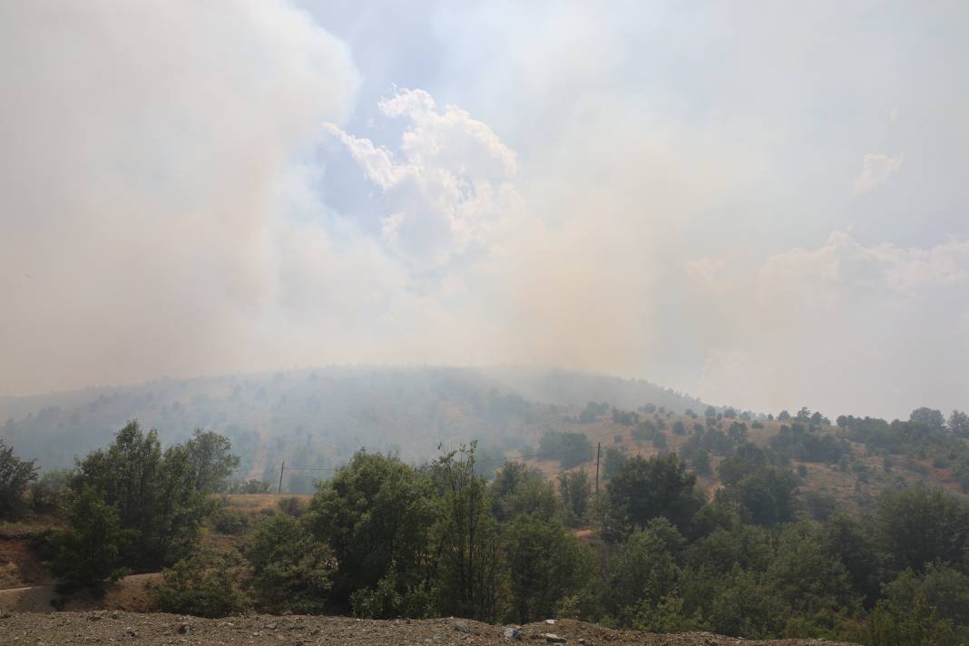 Elazığ'da orman yangını 12